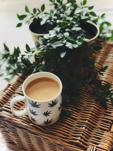 [T&M] TEA WITH MILK