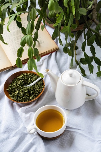 [GT] GREEN TEA